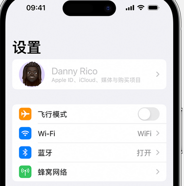 松柏镇appleID维修服务iPhone设置中Apple ID显示为灰色无法使用