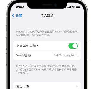 松柏镇apple服务站点分享iPhone上个人热点丢失了怎么办