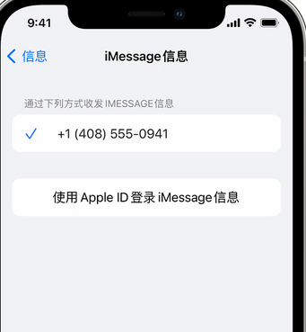 松柏镇apple维修iPhone上无法正常发送iMessage信息