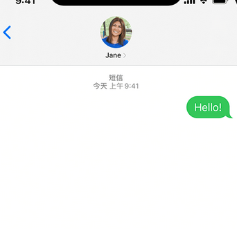 松柏镇apple维修iPhone上无法正常发送iMessage信息