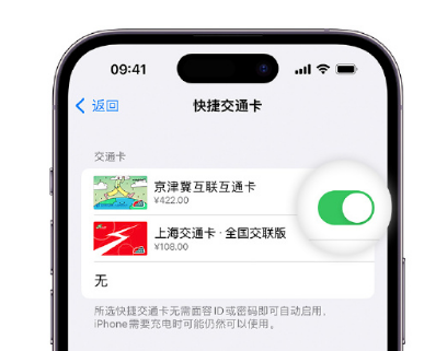 松柏镇apple维修点分享iPhone上更换Apple Pay快捷交通卡手绘卡面 