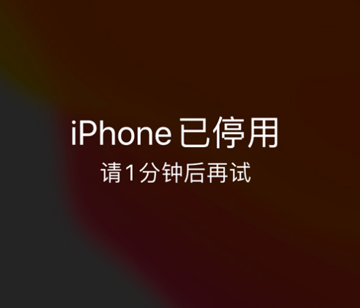 松柏镇苹果手机维修分享:iPhone 显示“不可用”或“已停用”怎么办？还能保留数据吗？ 