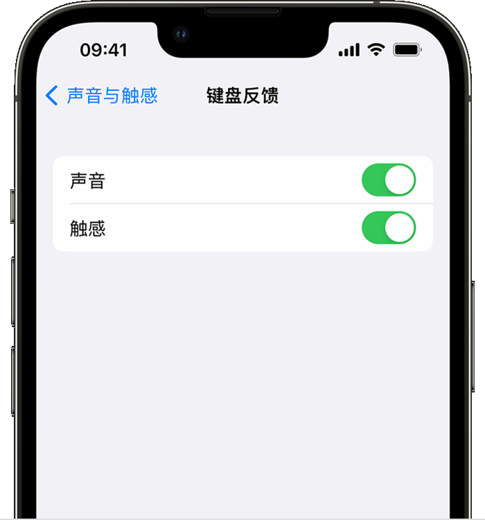 松柏镇苹果14维修店分享如何在 iPhone 14 机型中使用触感键盘 