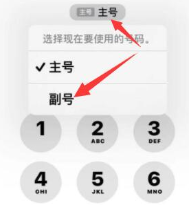 松柏镇苹果14维修店分享iPhone 14 Pro Max使用副卡打电话的方法 