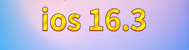 松柏镇苹果服务网点分享苹果iOS16.3升级反馈汇总 