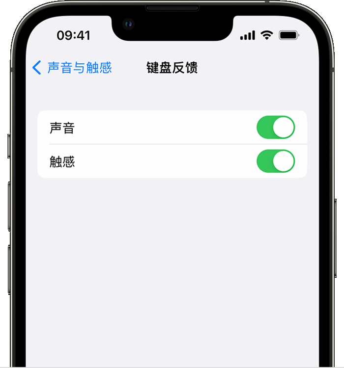 松柏镇苹果14维修分享iPhone 14 系列机型如何开启键盘声音或触感反馈 