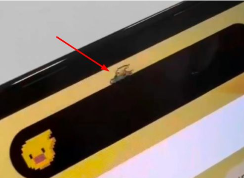 松柏镇苹果14维修分享iPhone 14 Pro Max灵动岛怎么养宠物 